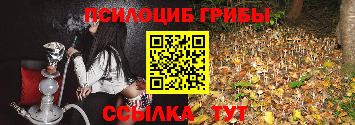 Галлюциногенные грибы прущие грибы  Галлюциногенные грибы ЛСД  Вход с VPN  Нефтеюганск 